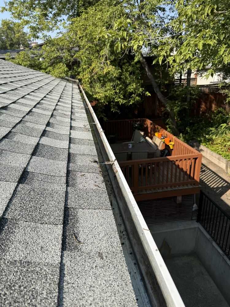 Clean gutter flowing freely after service