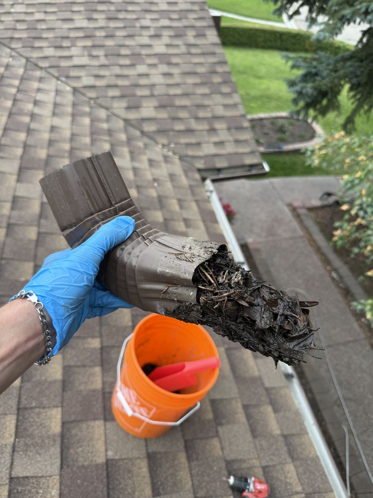 Downspout packed solid with debris