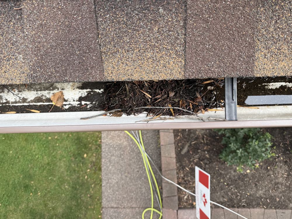 Debris built up along a gutter run